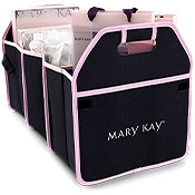 Trunk Organizer with Insulated Case